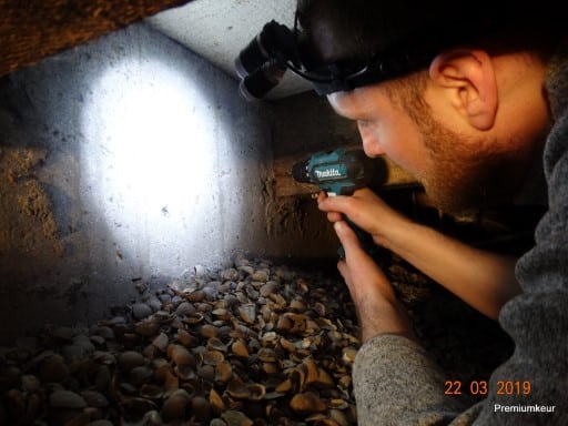 balkkoppen inspecteren
